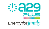 A29 Plus